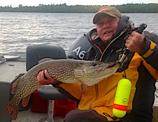 Large Trophy Northern Pike Fishing by Steve at Fireside Lodge Canada